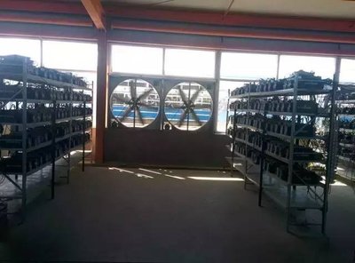 A large-scale mining farm showcasing multiple mining rigs