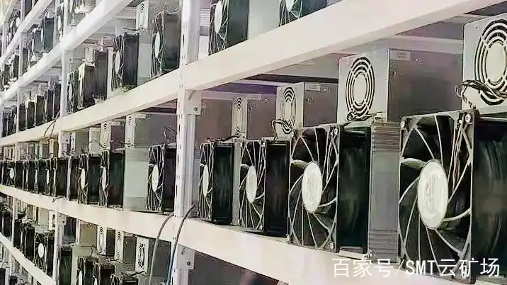 Mining farm setup showcasing efficient use of Japanese mining rigs