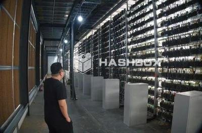 Host mining farm with rows of ASIC miners setup