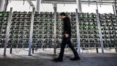 A large-scale mining farm powered by renewable energy.